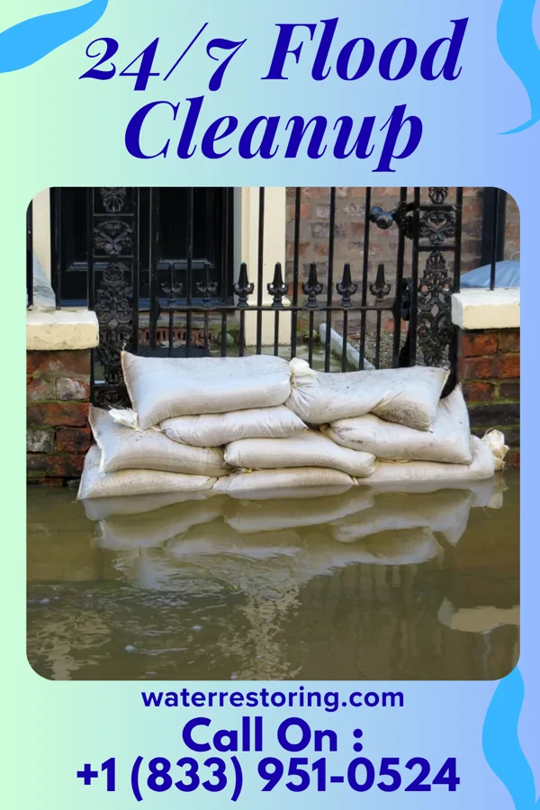 24/7 Flood Cleanup in Delmar, IA