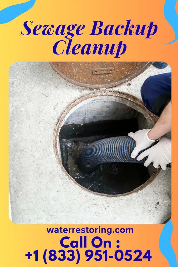 Sewage Backup Cleanup in Delmar, IA